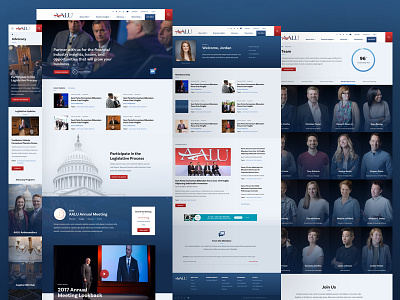 Association for Advanced Life Underwriting Preview advertising advocacy association desktop diversity event insurance interior page politics responsive ui design web design