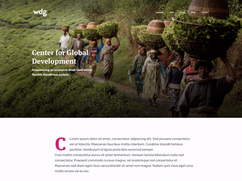 Center For Global Development Case Study