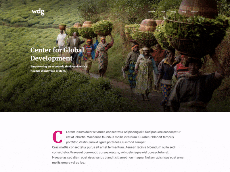 Center For Global Development Case Study agency big typography case study large type numbers presentation project view thinktank web design work display