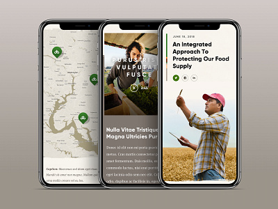 Pioneer Article Mobile agriculture design design system desktop farm flexible layouts mobile responsive ui ui design web design