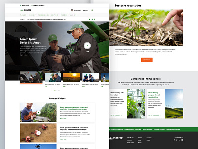 Pioneer Sample Component Page agriculture components design design system desktop farm flexible layouts mobile responsive ui ui design web design