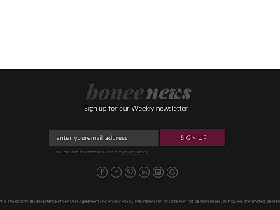 Fashion Website Footer dark newsletter field