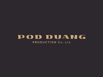 PD logo typeface wordmark