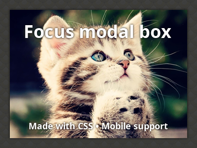 Focus Modal Box dici lightbox modal preview