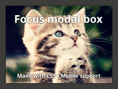 Focus Modal Box