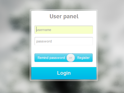 User Panel form input login panel ui