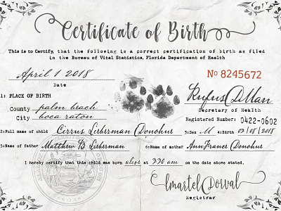 Vintage Birth Certificate