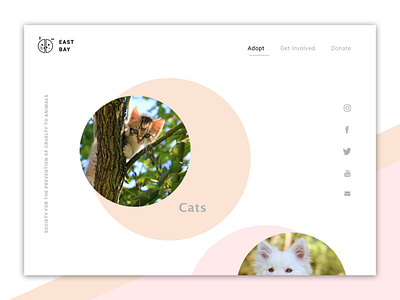 Day3 100 daily ui 100 day challenge adobt adoption cats design dogs donate home page landing page non profit pet simple space spca