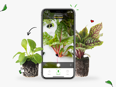 Lettuce Grow - Farmstand App ai app app design branding design ios plant ui ux uxui