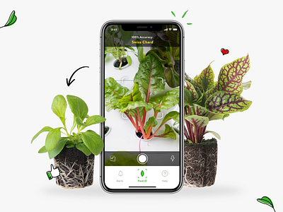 Lettuce Grow - Farmstand App