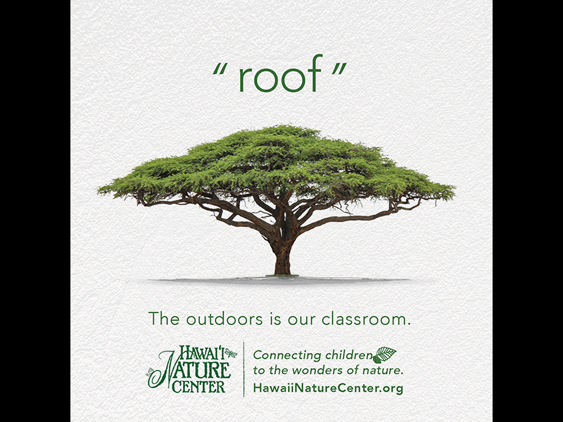 roof public service bradley shin wonder future kids wasiswas facebook outdoors classroom nature tree roof hawaii nature center