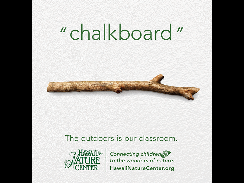 chalkboard growth nature wonder learning classroom wasiswas youth kids children forest outdoors hawaii hawaii nature center