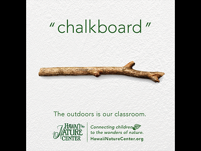 chalkboard children classroom forest growth hawaii hawaii nature center kids learning nature outdoors wasiswas wonder youth