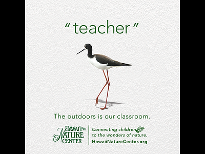 teacher advertising bird children classroom hawaii hawaii nature center honolulu instagram keiki mother nature outdoors post teacher wasiswas wonder