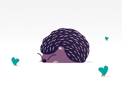 Porcupine/Hedgehog