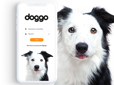 DOGGO - Log in screen animal cats dog interface login logo ui user user interface ux