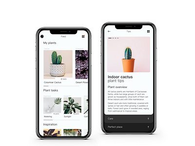 Plant App