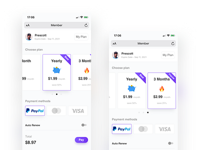 Daily Work app clean design interface member pay plan ui ux