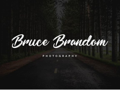 Bruce Brandom 99designs brand identity branding custom logo designs dribbble fiverr freelancing handmade handwritten logo logo design luxury logo minimal minimalist photograhy retro signature upwork vintage