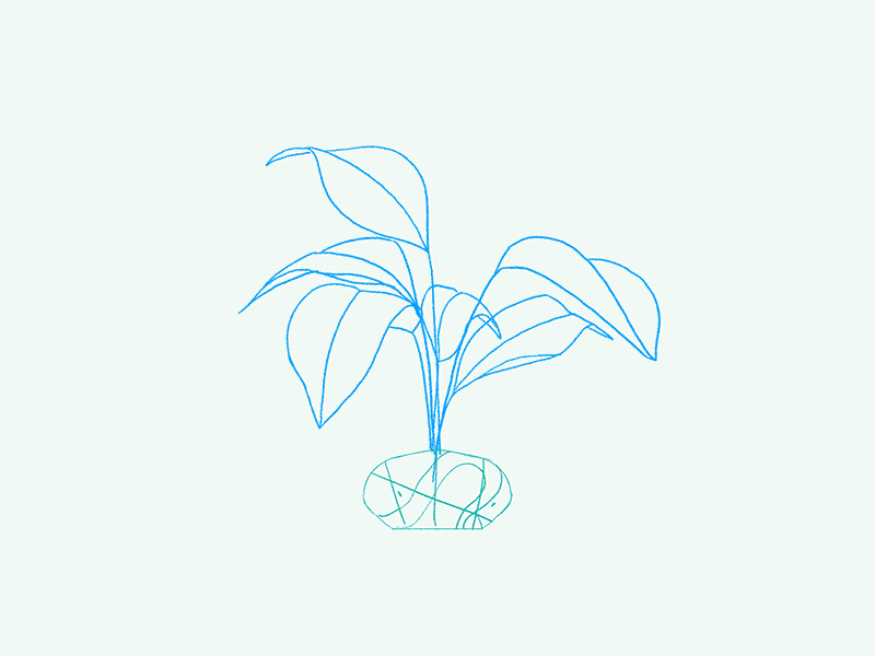 Plant (Process)