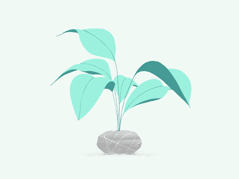 Plant animation frame by frame illustration motion motion design motion graphics motiongraphics plant traditional animation