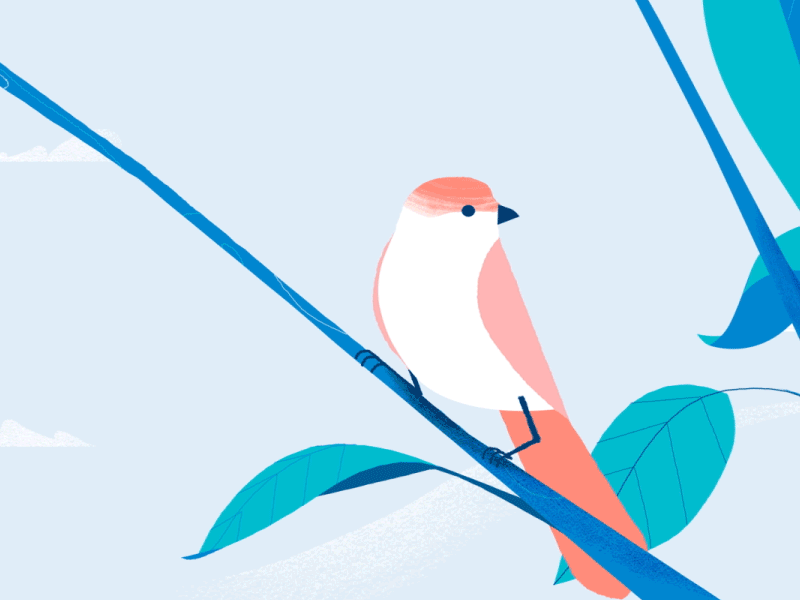 Little Bird - Rethink Waste animal animation bird gif illustration motion graphics nature tree