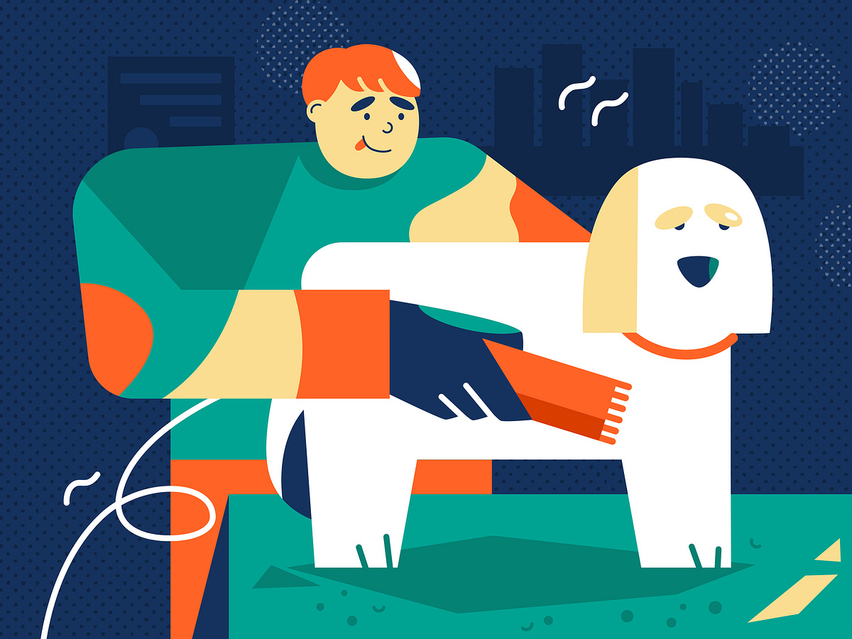 Groomer by Sofia Iudina on Dribbble