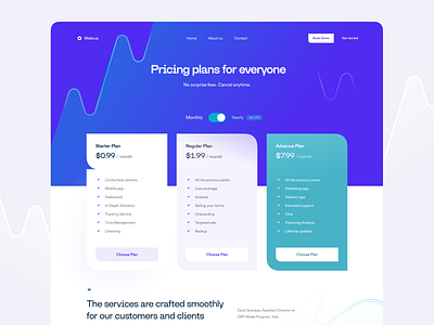 Pricing Page Exploration