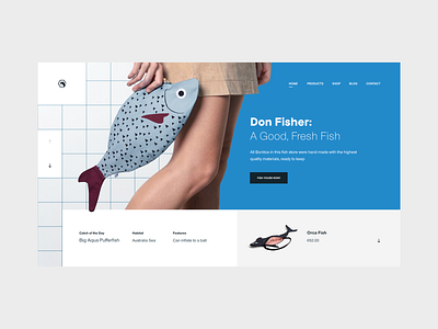 Don Fisher — Concept