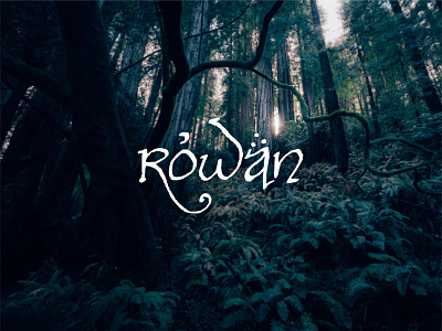 Lord of the Rowan