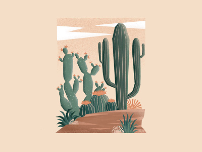Desert Greenery cactus desert design digital drawings digitalart digitalartist illustration procreate procreateapp