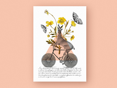 Antelope // Collage poster antelope bicycle butterfly collage collageart decoration design flowersposter graphic graphicdesgn illustration personalproject poster poster art poster collection print surrealism triangle