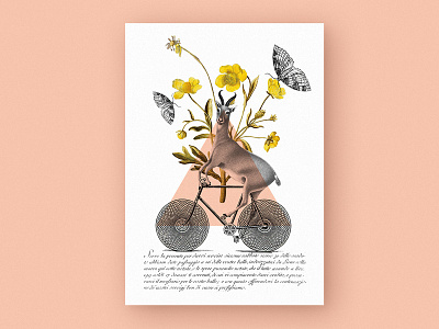 Antelope // Collage poster