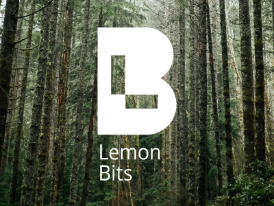 LemonBits logodesign branding icon identity logo logo design