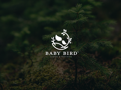 Baby Bird baby bird branding logo