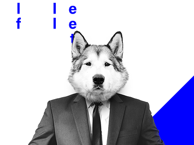 wolf on wallstreet animal hybrid minimalistic photomanipulation poster wolf