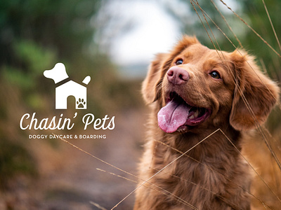 Chasin' Pets Doggy Daycare Branding brand identity brand identity design brand identity designer branding design logo logo design logo design branding logo design concept logo mockup