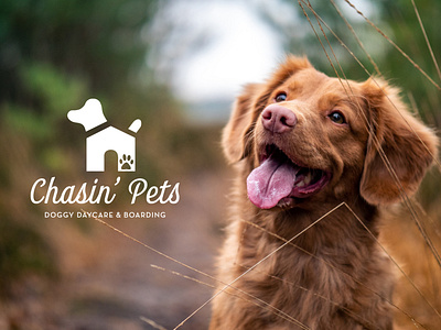 Chasin' Pets Doggy Daycare Branding