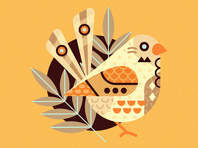 Finch illustration illustrator