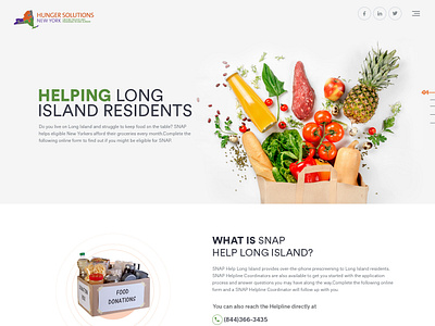 Hunger Solutions esolzwebdesign hunger solutions illustration typography ui website design