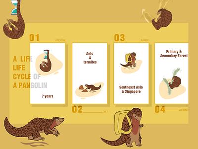 A life Cycle of A Pangolin color design graphic design illustration illustrator pangolin typography vector art website yellow