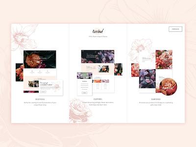 Rosebud Landing clean colors creative design digital home homepage illustration pink ui ux web web design wordpress