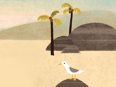 Seagull beach bird childrens book gull illustration la landscape palm trees