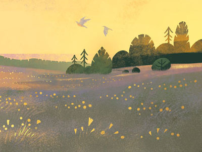 Serpentine Prairie birds california flowers graphic illustration landscape nature science sunset wildflowers