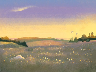 Prairie birds california flowers graphic illustration landscape nature science sunset wildflowers