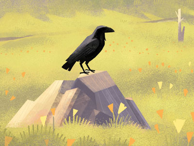 Raven birds illustration landscape nature raven wildlife