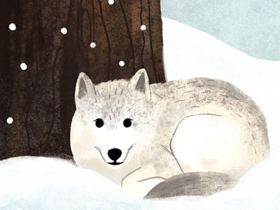 Arctic Wolf animals arctic wolf book illustration educational illustration nature publishing winter wolf