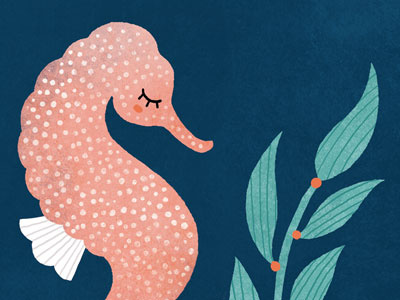 Seahorse illustration kelp sea sea creatures marine life sea life ocean seahorse