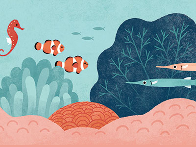 Life in the Coral Reef by Emily Dove on Dribbble