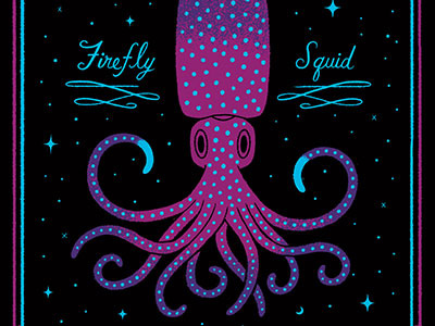 Firefly squid animals bioluminescence gallery lettering screenprinting series squid
